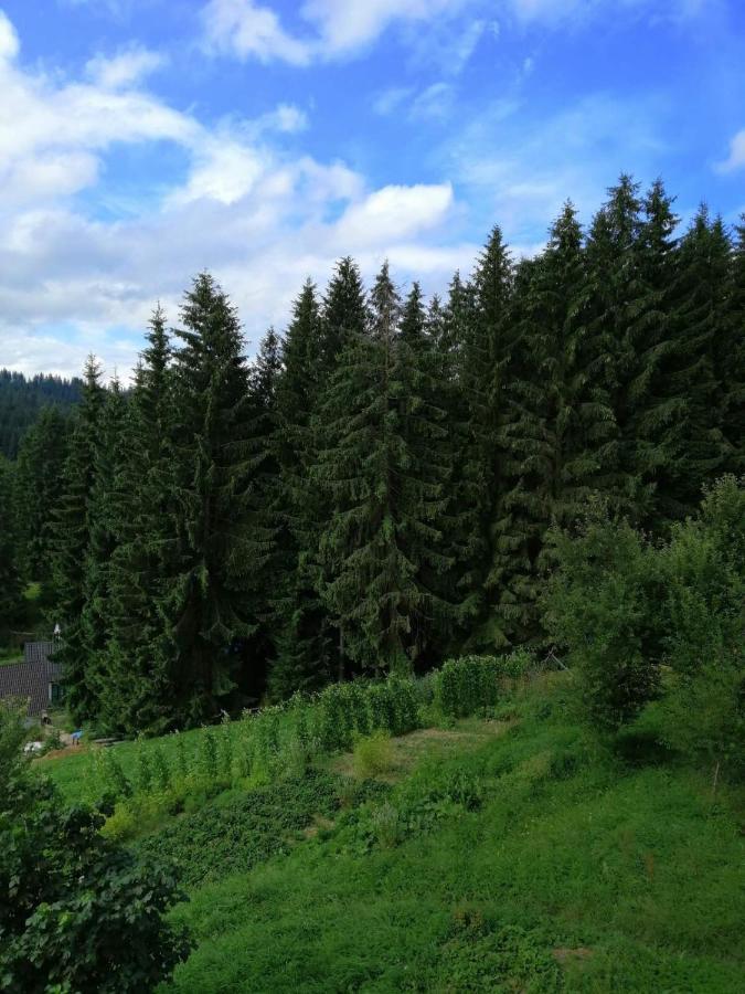 Marichka Hotel Яблуниця Екстериор снимка